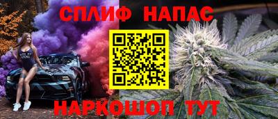 амф Камышлов