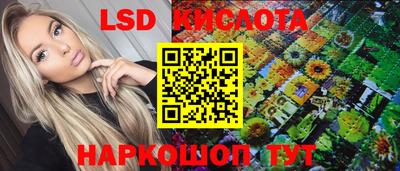 амф Камышлов